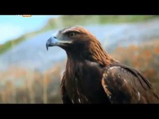 Kırgızistan Bağımsızlığını Nasıl İlan Etti? - Mihenk Taşları - TRT Avaz