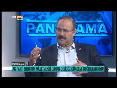 15 Temmuz'u Ak Parti Erzurum Milletvekili Orhan Deligöz Değerlendiriyor - Panorama - TRT Avaz