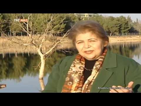 Gaziantep'ten Bir Müzik Sevdalısının Hikayesi - Anadolu'nun Sıcak Yüzleri - TRT Avaz
