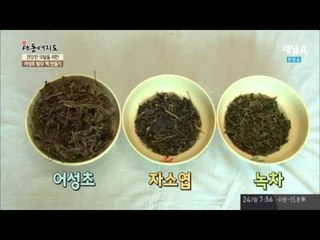 탈모 이겨낸 어성초 발모 팩! 어떻게 만들까?_채널A_신대동여지도 124회