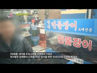 국산 장어 vs 국내산 장어, 알고보면 전혀 다르다?!