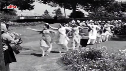 Ruk Ja Rokta Hai Ye Diwana - Classic Bollywood Song from Mr. X in Bombay (1964) 🎶