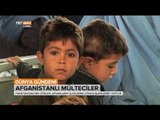 Pakistan'daki Afgan Mülteciler Ülkelerine Geri Dönmeye Başladı  - Dünya Gündemi - TRT Avaz
