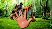 Horse Finger Family Children Nursery Rhymes | Horse Finger Family Songs