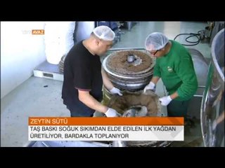 Zeytin Sütünü Biliyor Musunuz? - TRT Avaz Haber