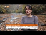 Kabaceviz Şelaleleri'nde Sonbahar - Samsun / Çarşamba - TRT Avaz Haber