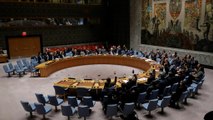 Siria, l'Onu approva la tregua di Russia e Turchia
