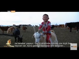 Moğol Bir Ailenin Doğayla İç İçe Yaşamı - TRT Avaz
