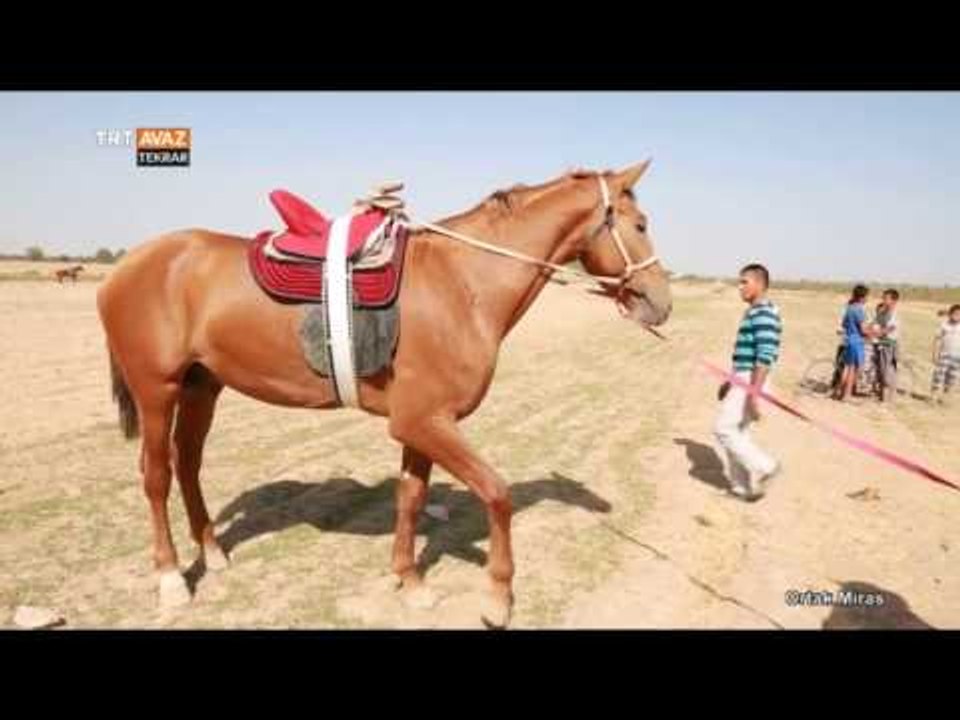 Türklerde Ata Verilen Önem - Ortak Miras - TRT Avaz