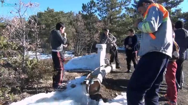 Morçiçek 2016 - 10 Aralık 2016