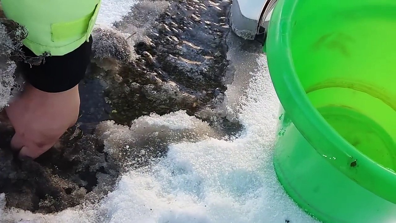 マイナス35度の中凍って動けなくなったネコ、お湯をかけられて救助される