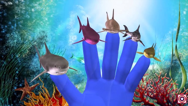Shark Finger Family Children Nursery Rhymes Collection | Finger Family Shark Nursery Rhymes For Kids