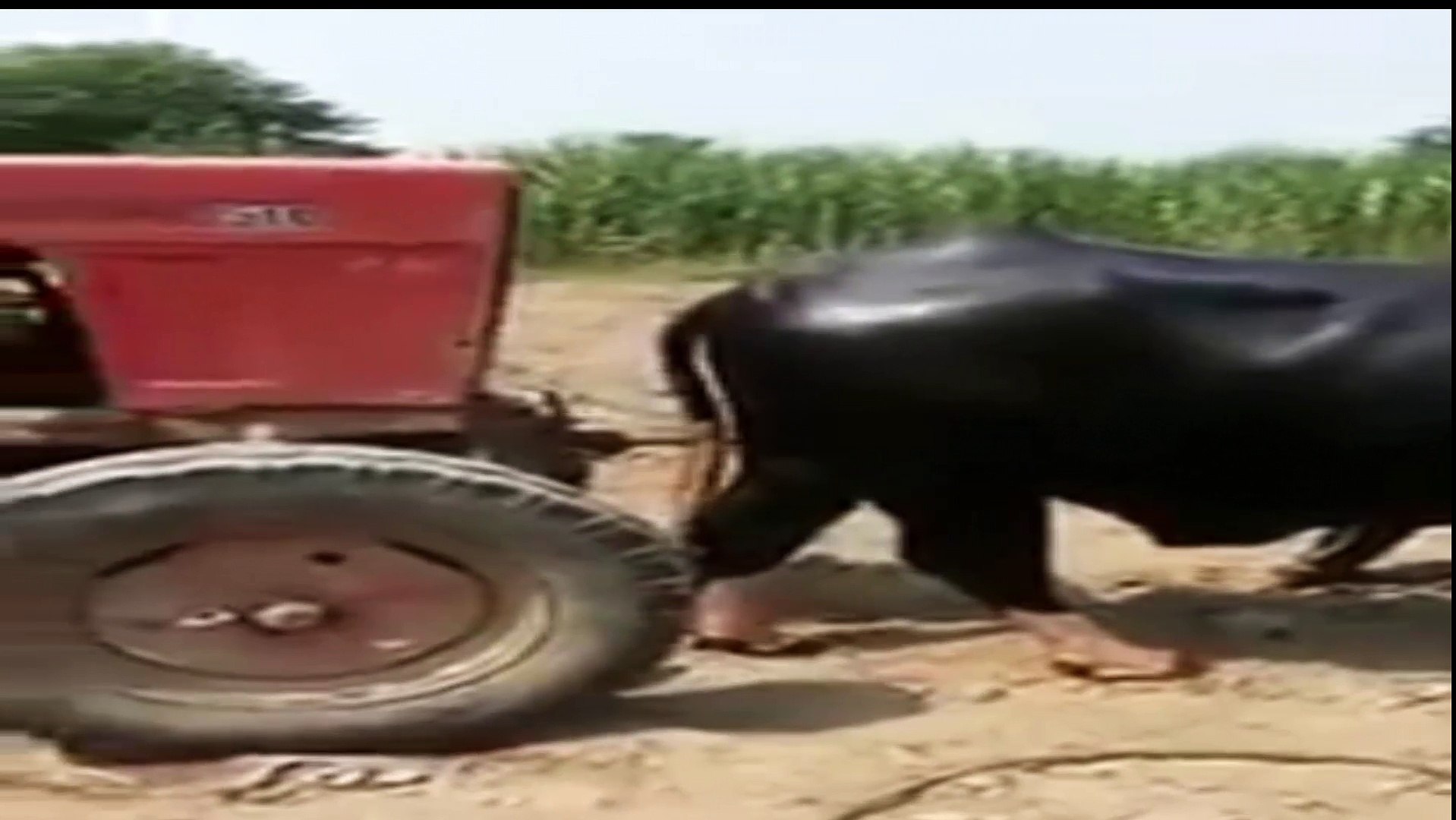How to start a tractor-Pakistani Style