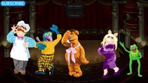 MUPPETS KERMIT MISS PIGGY finger family song muppets daddy finger song
