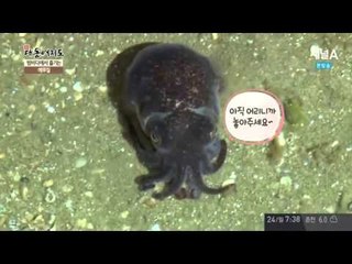 온 가족이 재미있게 즐기는 태안 앞바다 ‘해루질’