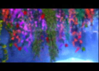 40 神雕侠侣 第40集 2006 刘亦菲 黄晓明 高清完整版