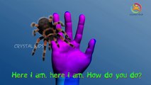 Spider finger family 3d rhymes | English nursery children 3d animated songs