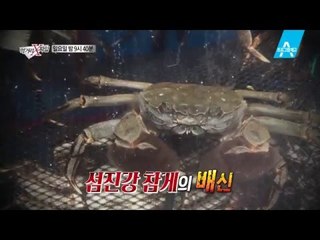 [예고] 제철 맞은 섬진강 참게, 재첩의 진실