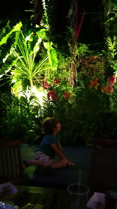 Happy New Year at Gardens by the Bay 1