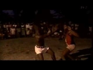 Gackt em Madagascar [1]