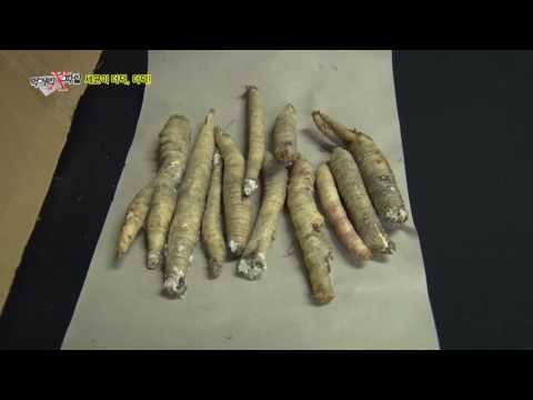 곰팡이에 세균 천지! 중국산 더덕의 충격적 위생 실태!