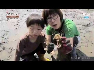 맨손으로 잡는 개막이 체험&쏙쏙 뽑는 쏙체험!