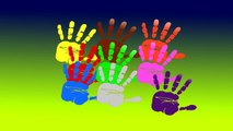 Ellerle Renk Öğrenin [Pena Animasyon]