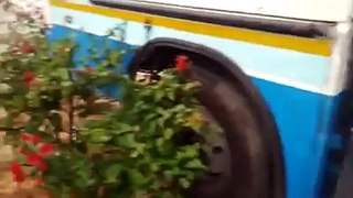 Longest Chain Accident on Indian Highway Whatsapp Video