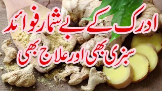Health Benefits of Ginger In Urdu Adrak Ke Fayde   ادرک کے فائدے