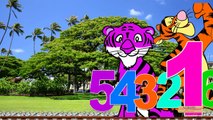 123 Song Learn 123 Songs For Children Tiger Cartoon | Learning 123 Numbers Nursery Rhymes For Kids