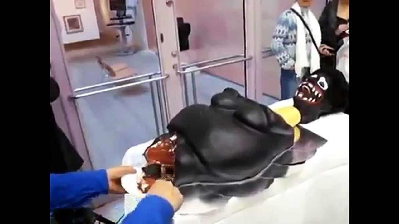 BEST FUNNY VIRAL Videos of 2017