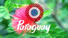 Discover Paraguay Dakar 2017