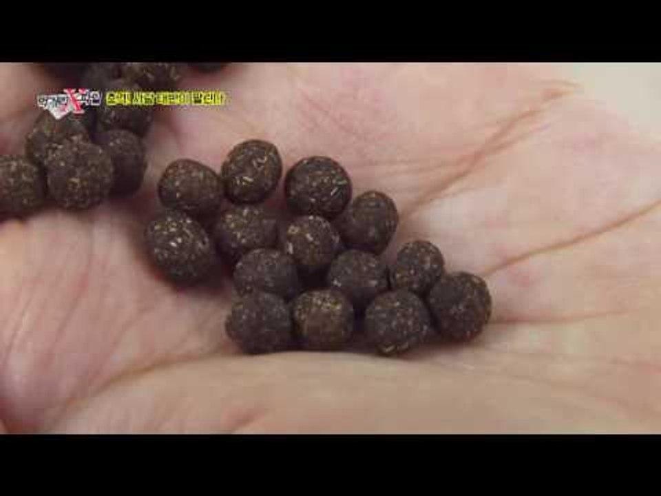 은밀히 유통되는 사람의 태반! 환자에게조차 숨기는 이유는?