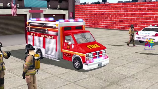 Animals Car Wash Compilation Videos For Children Cars Trucks | Animals Vehicles Finger Family Rhymes