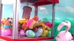 Secret Life of Pets Play CLAW MACHINE Game with Toy Surprises! Blind Bags and Fashems!