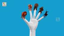 The Finger Family Animals - Finger Family Song - 3D Cartoon Nursery Rhymes & Songs for Children
