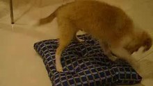 Impression of my new bed...
