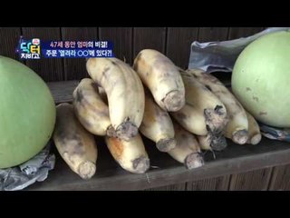 20대 30대 제치고 미인대회 입상한 엄마! 동안 혈색의 비결은?