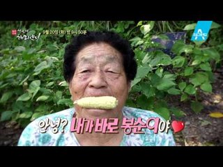 [예고] 영혼의 단짝 벽계리 시골 할머니들, 서울 가다!