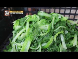 고기 잡고 배추 삶고, 기대고 버텨주는 어탕 부부의 청춘불패!