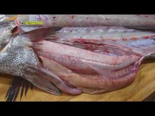 일반인이 자연산 민어와 양식 민어, 점성어를 구분할 수 있을까?!