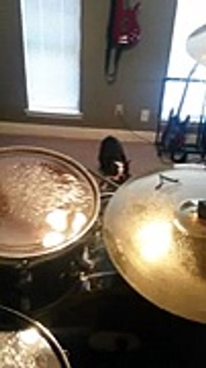 Un toutou lui vole sa baguette