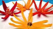 How to Make Flowers with Peppers, Leeks and Scallions (HD)