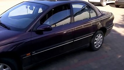 Гаишники остановили собаку за превышение скорости