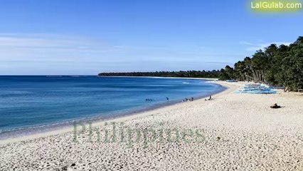 2017 Anay Par Dunya Bhar Mein Naye Saal Ka Dilchasp Jashan