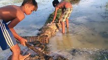 Wow! Brave Children Catch Water Snake Using Bamboo Net Trap - How to Catch Water Snake