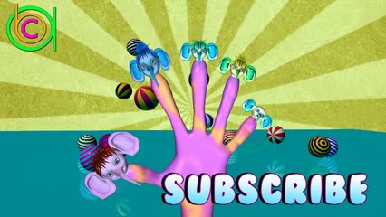 Finger Family Songs collection 3D | Top 12 mins Finger Family Collection |