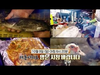 [예고] 쓸쓸한 가을, 두 남자의 기운찬 여행!