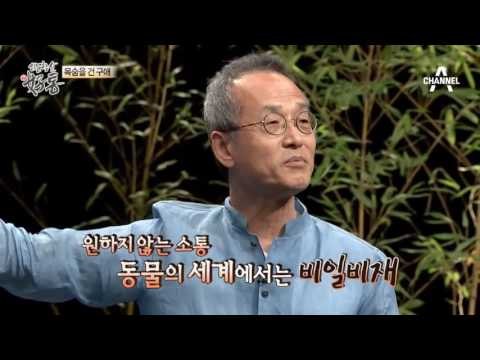 목숨걸고 치열하게 소통하는 동물의 세계