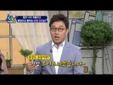 ‘빡세게’ 운동하면 몸에 해롭다! 활성산소 줄이는 운동 강도는?